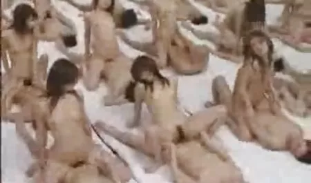 NERO4K. nero su bianco scopa entrambi i partner film erotici lesbiche felice