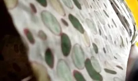 Cornea babe film porno lesbi gratis scopata dal suo fidanzato